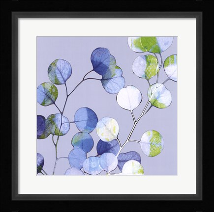 Framed Modern Branch II Print