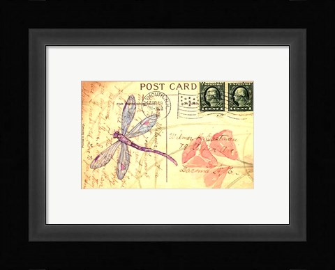 Framed Postcard Dragonfly I Print