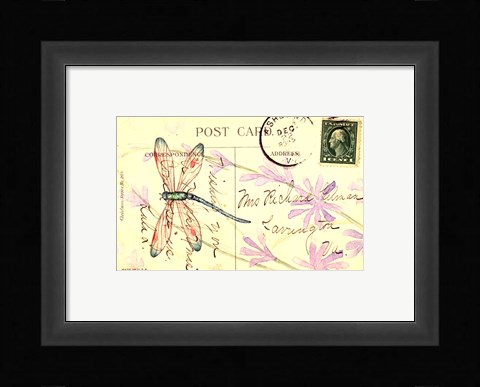 Framed Postcard Dragonfly III Print