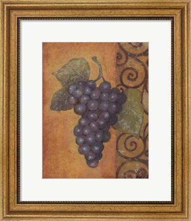 Framed Scrolled Grapes II Print