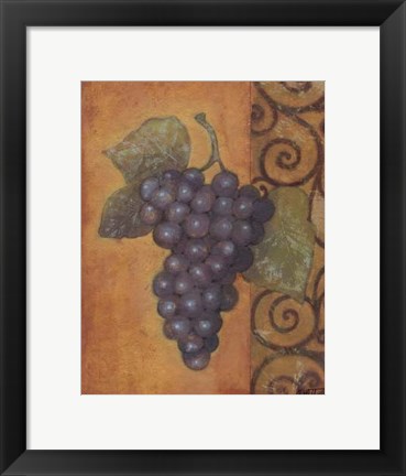 Framed Scrolled Grapes II Print