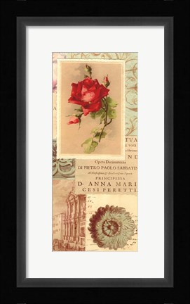 Framed Vintage Rose Panel II Print