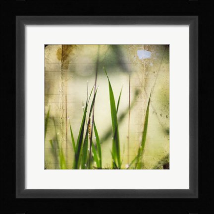 Framed Green II Print
