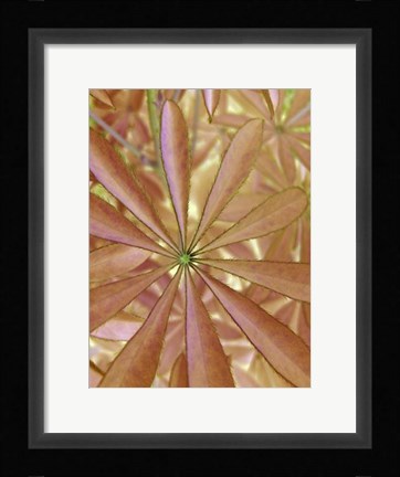 Framed Woodland Plants in Red II Print