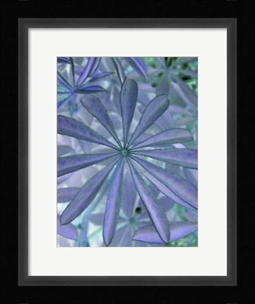 Framed Woodland Plants in Blue I Print