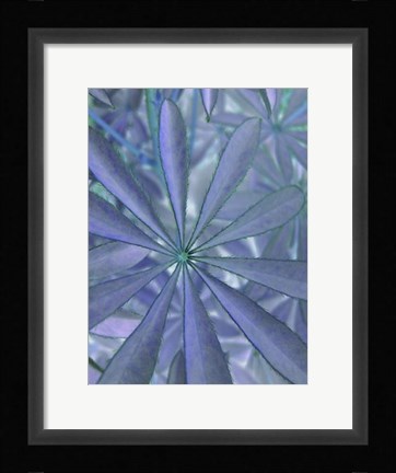 Framed Woodland Plants in Blue II Print