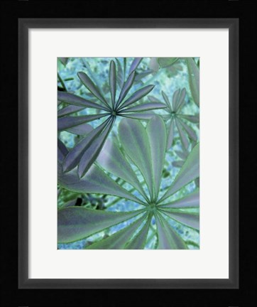 Framed Woodland Plants in Blue III Print