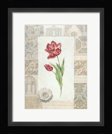 Framed Victorian Tulip I Print