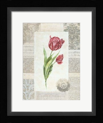 Framed Victorian Tulip II Print