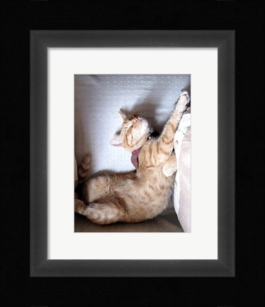 Framed Just Stretchin Print