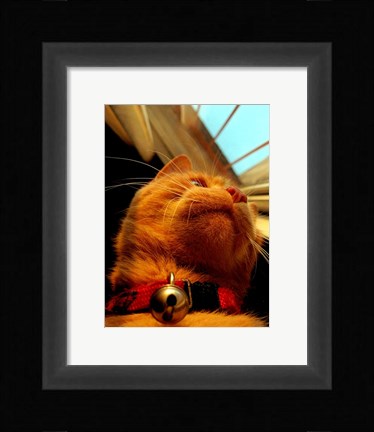 Framed Mr. Jingles Print