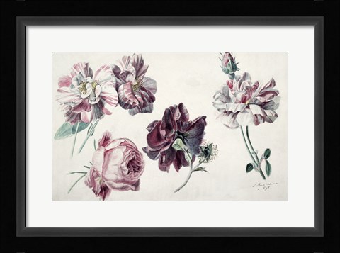 Framed Roses Print