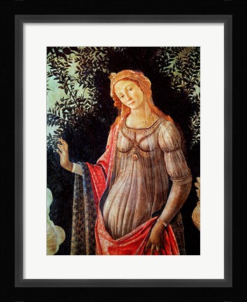 Framed Primavera, detail of Venus, c.1478 Print