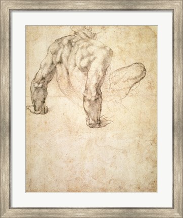 Framed W.63r Study of a male nude, leaning back on his hands Print
