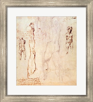 Framed Anatomical drawings with accompanying notes Print