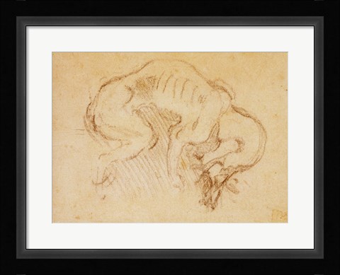 Framed Study of a dog Print