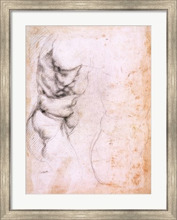Framed Study of torso and buttock Print