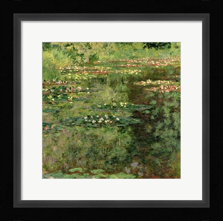 Framed Waterlily Pond, 1904 Print