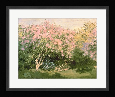 Framed Lilac in the Sun, 1873 Print