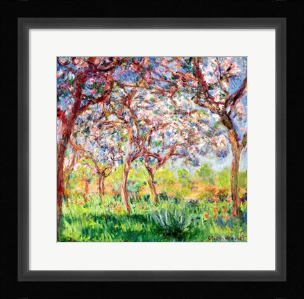 Framed Printemps a Giverny, 1903 Print