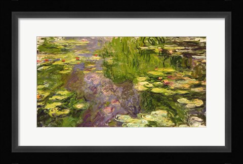 Framed Waterlilies (green horizontal) Print