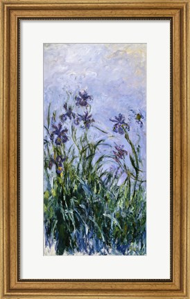 Framed Purple Irises, 1914-17 Print