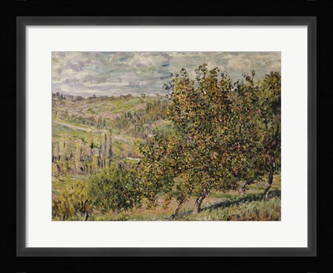 Framed Apple Blossom Print