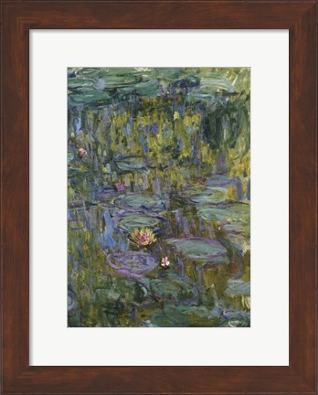 Framed Waterlilies (dark green) Print
