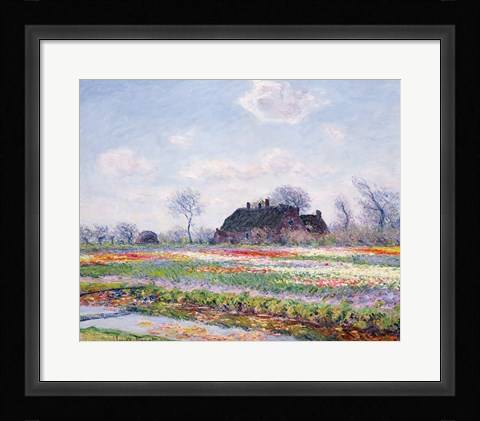 Framed Tulip Fields at Sassenheim, near Leiden, 1886 Print