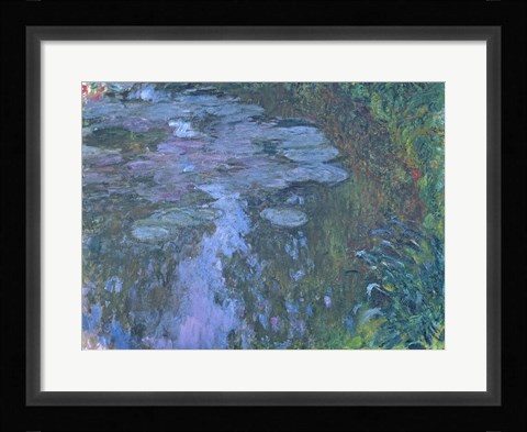 Framed Nympheas C Print