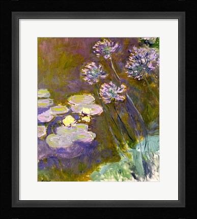 Framed Waterlilies and Agapanthus, 1914-17 Print
