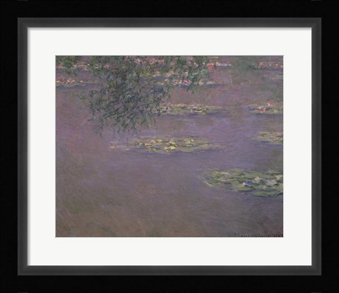 Framed Waterlilies, 1903 Print
