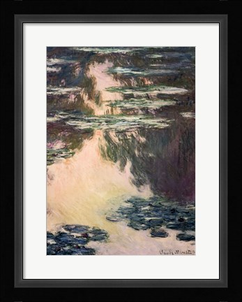 Framed Waterlilies with Weeping Willows, 1907 Print