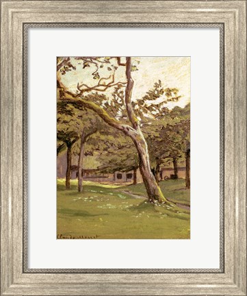 Framed Orchard Print