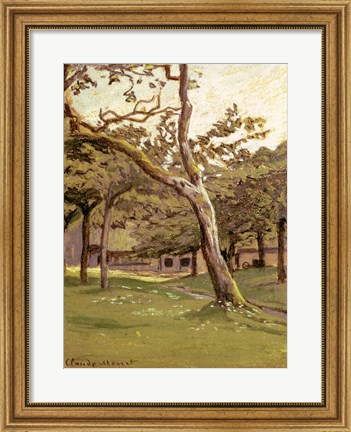 Framed Orchard Print