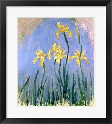 Framed Yellow Irises, c.1918-25 Print
