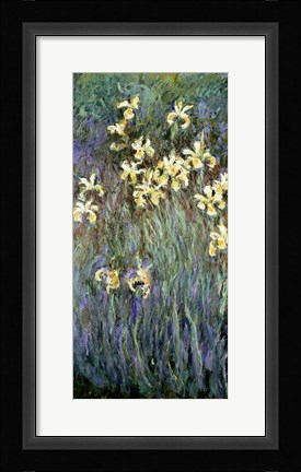 Framed Yellow Irises Print