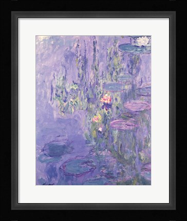 Framed Waterlilies Print