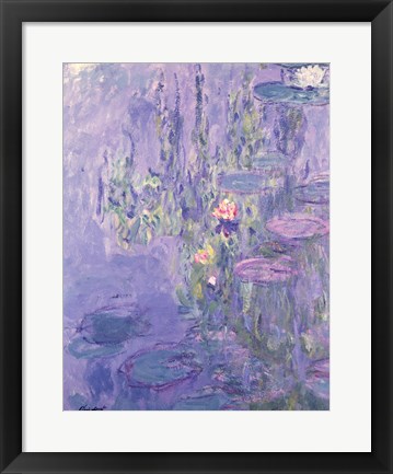 Framed Waterlilies Print