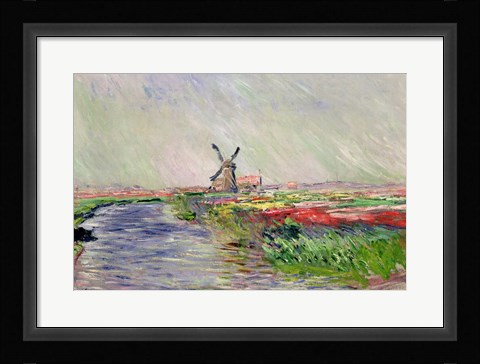Framed Tulip Field in Holland Print