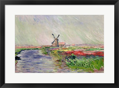 Framed Tulip Field in Holland Print