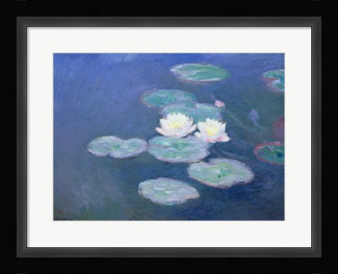 Framed Waterlilies, Evening Print