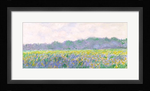 Framed Field of Yellow Irises at Giverny, 1887 Print