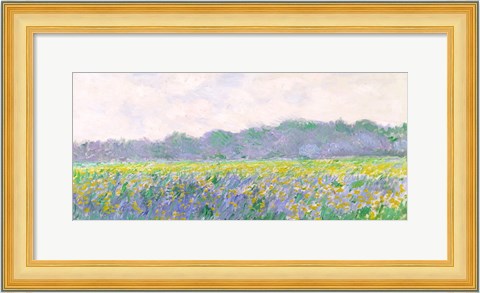 Framed Field of Yellow Irises at Giverny, 1887 Print