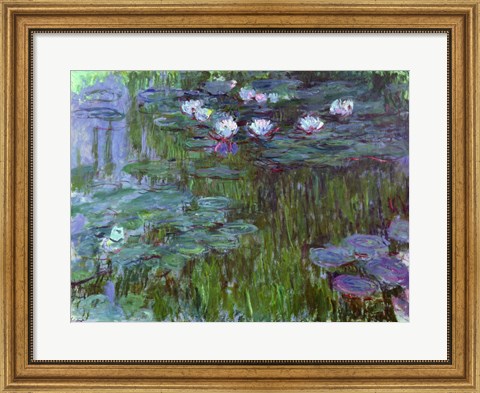 Framed Waterlilies, 1914-17 Print
