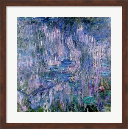 Framed Waterlilies and Reflections of a Willow Tree Print