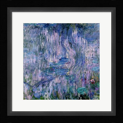 Framed Waterlilies and Reflections of a Willow Tree Print