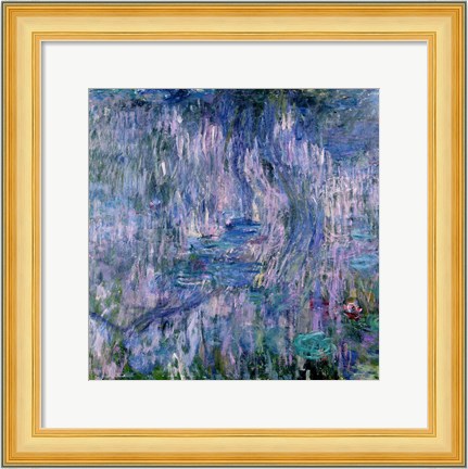 Framed Waterlilies and Reflections of a Willow Tree Print