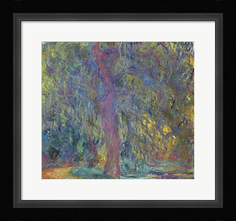 Framed Weeping Willow, 1918-19 Print