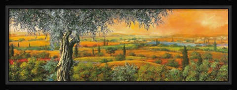 Framed Vallata degli ulivi Print